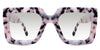 Apia black tinted Gradient wide frame in chiffon variant  tortoiseshell pattern with broad arm and logo on it
