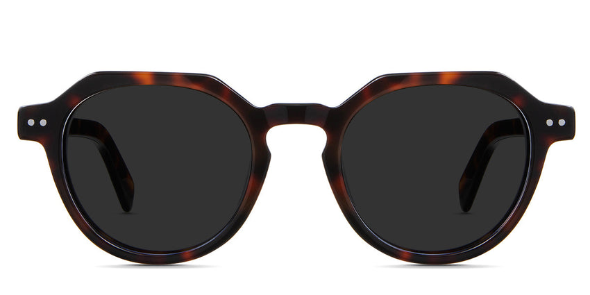 Ellis Gray Polarized in caretta variant - is a full rimmed frame with  high nose bridge and built in nose pads. It's 145mm temple arm has visible rivets design 