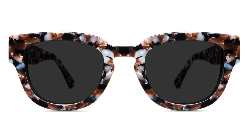 Taro Gray Polarized glasses in sila variant in tortoise style