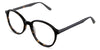 Anso acetate glasses in the spiny variant - have a thin rim and temple arm.