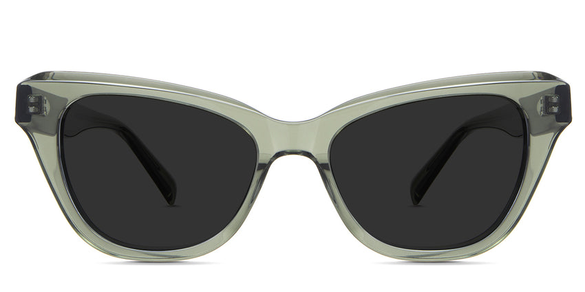 Ada Black Sunglasses Standard Solid in the forest variant - is a transparent frame with a cat-eye shape viewing lens and has a company name imprinted inside the right arm.