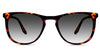 Aguilera black tinted Gradient sunglasses in hathaway variant - it has thin arm with Hip Optical written