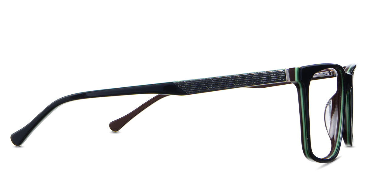 Amazi Eyeglasses in the grackles variant - have a regular thick temple arm.