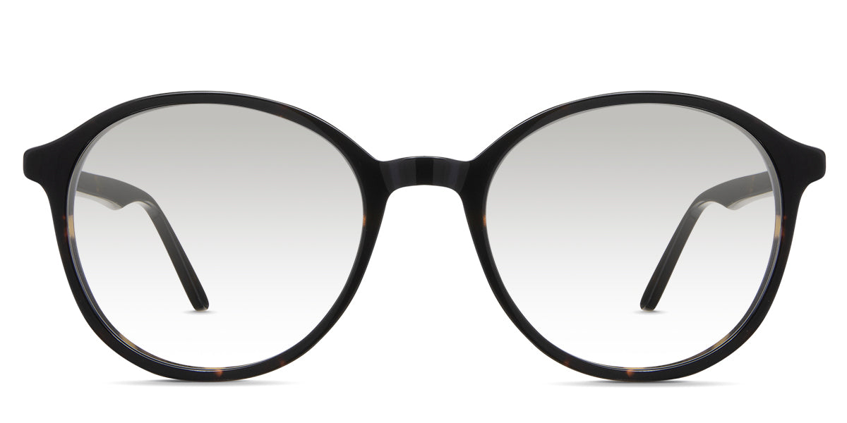 Anso black tinted Gradient sunglasses in spiny variant - it's a round acetate frame with a thin rim and temple arm.