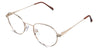 Axel eyeglasses in the gold variant - have a high nose bridge.