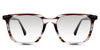 Baumann black tinted Gradient glasses in chardonnay variant - it's clear frame - size 51-18-145