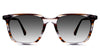 Baumann black tinted Gradient sunglasses in chardonnay variant - it's viewing area is with clear outer border and pattern on inner side