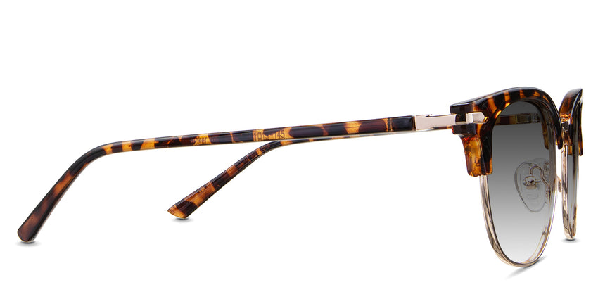 Chelus-Black-Gradient