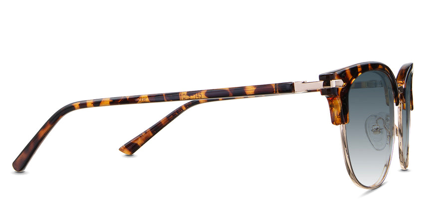 Chelus-Blue-Gradient