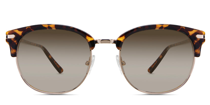 Chelus-Brown-Gradient