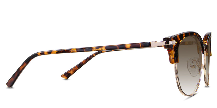 Chelus-Brown-Gradient