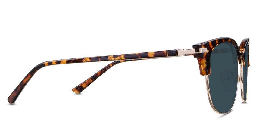 Chelus-Blue-Standard Solid