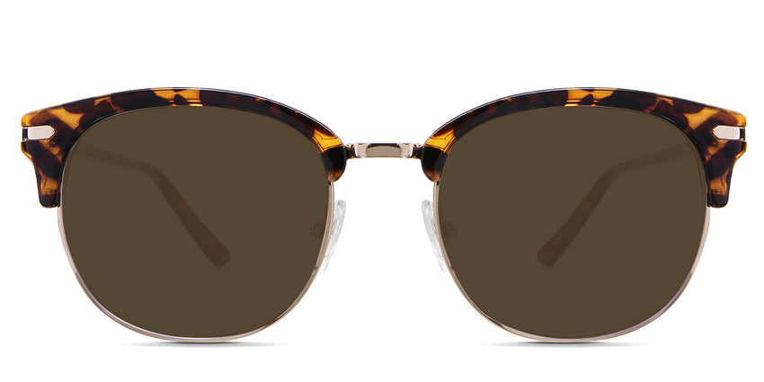 Chelus-Brown-Standard Solid