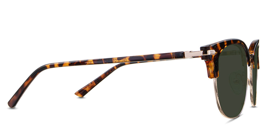 Chelus-Green-Standard Solid