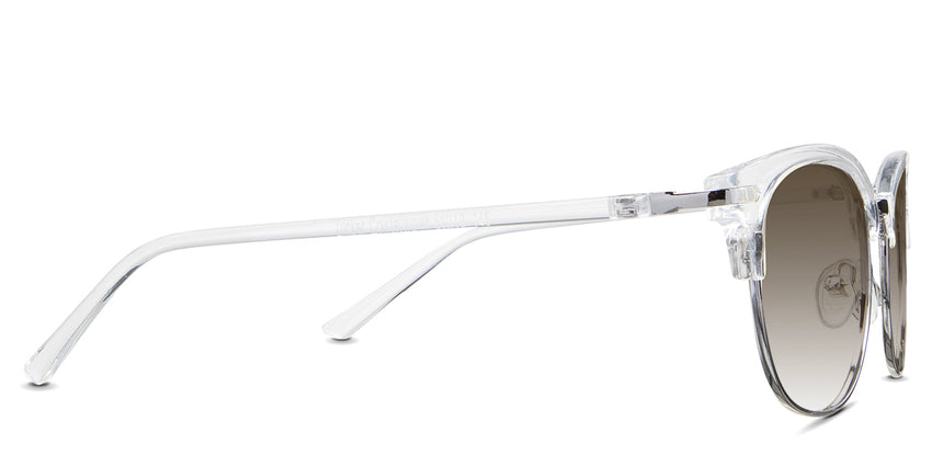 Plover-Brown-Gradient