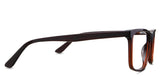 Belio Eyeglasses in burnish variant - it has a 145mm temple arms.