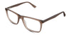 Belio Eyeglasses in neville variant - i'ts a light brown color acetate frame 