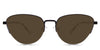 Anchors-Brown-Polarized