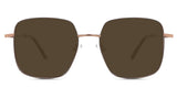 Fisher-Brown-Polarized