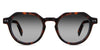 Ellis Black Sunglasses Gradient in caretta variant - is a full rimmed frame with high nose bridge and built in nose pads. It's 145mm temple arm has visible rivets design
