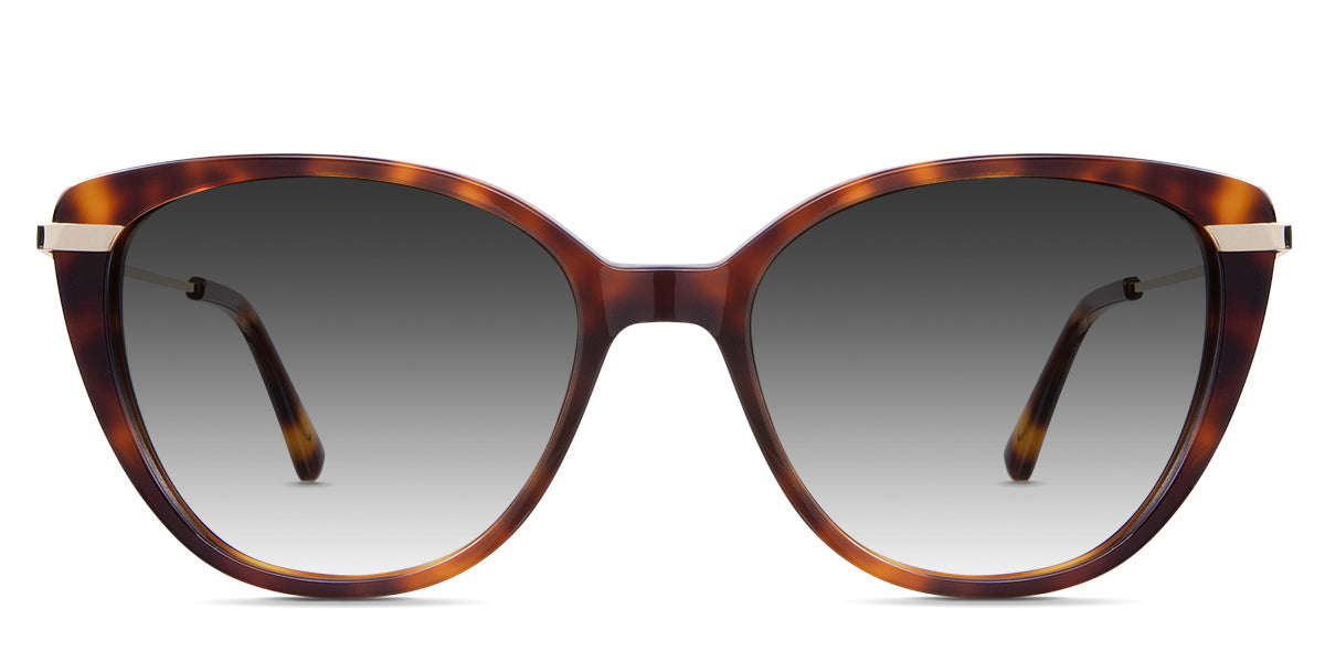 Elora black tinted Gradient sunglasses in sacha variant - it's a combination of acetate and metal frame style.