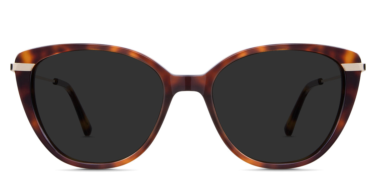 Elora Gray Polarized in sacha variant - it's a combination of acetate and metal frame style.