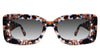 Erid black tinted Gradient frame in sila variant made with acetate material
