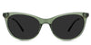 Gaia Gray Polarized in ivy variant - are transparent with a regular thick acetate full-rimmed frame.
