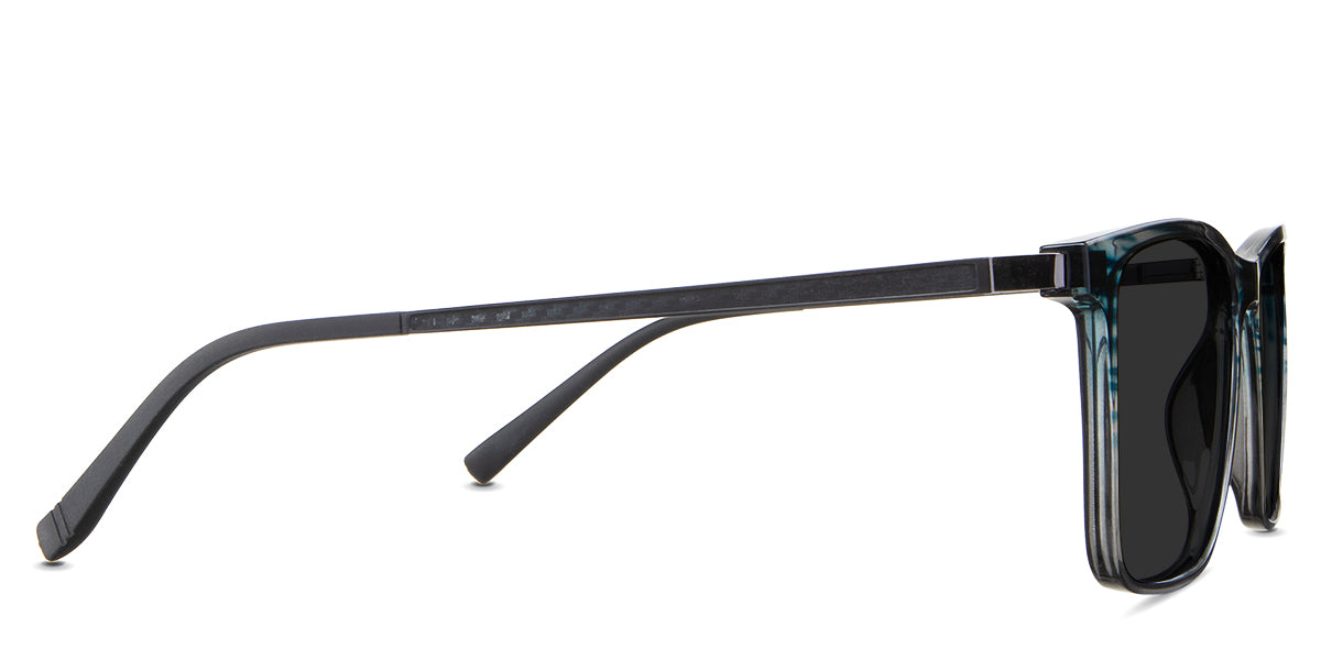 Herons-Gray-Polarized