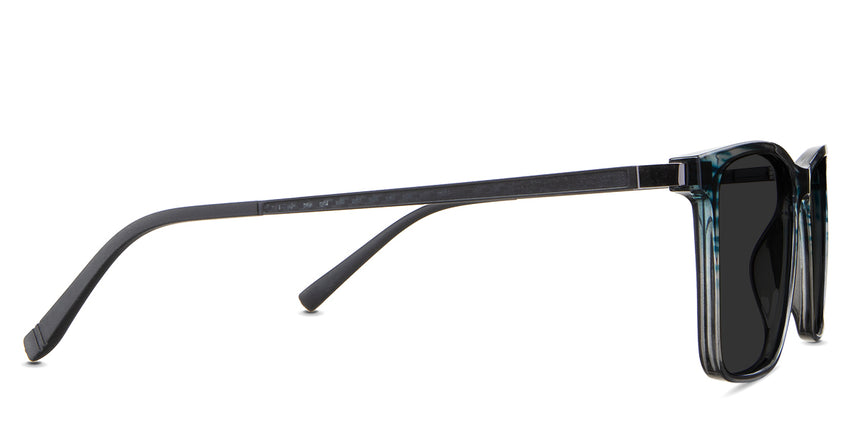 Herons-Gray-Polarized