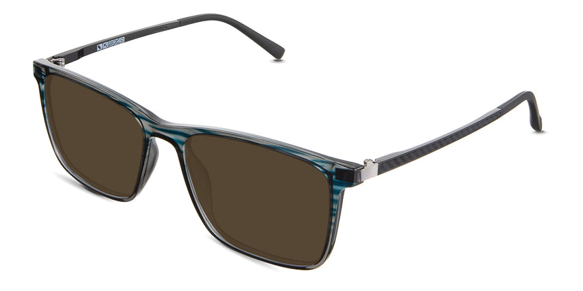 Herons-Brown-Polarized