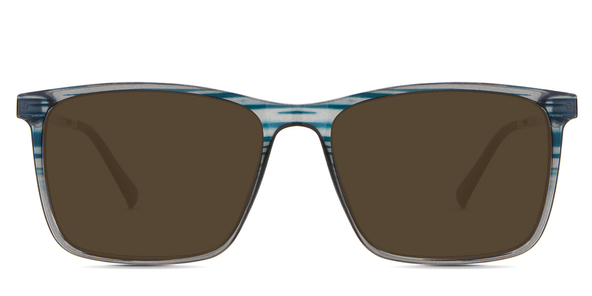 Herons-Brown-Polarized