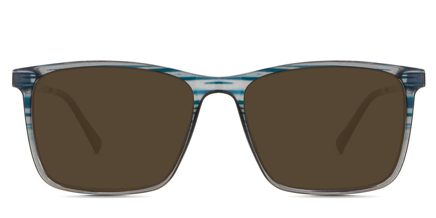 Herons-Brown-Polarized