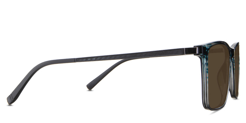 Herons-Brown-Polarized