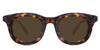 Whimsy-Brown-Polarized
