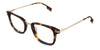 Koa Eyeglasses in the knox variant - have an acetate rim in color tortoise.