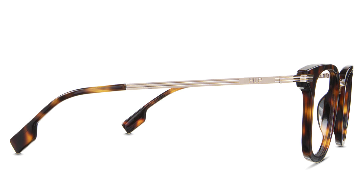 Koa Eyeglasses in the knox variant - have a gold metal arm and tortoise acetate tips.