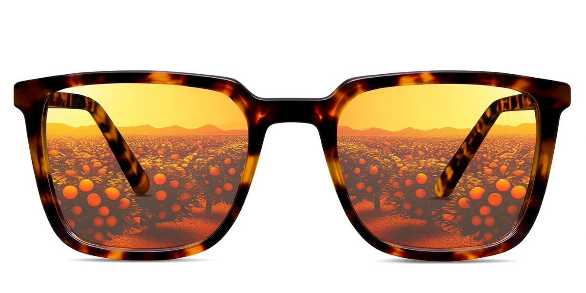 Delaney-Orange-Flash