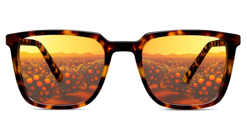Delaney-Orange-Flash