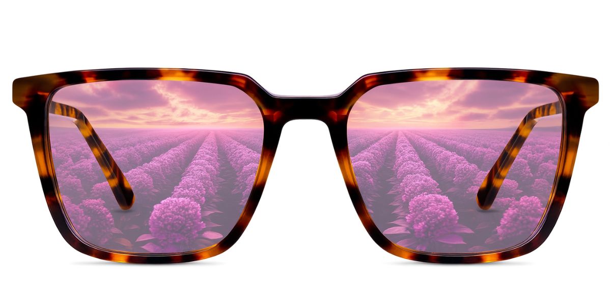 Delaney-Purple-Flash