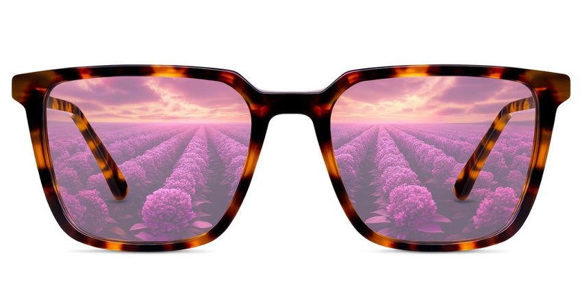 Delaney-Purple-Flash