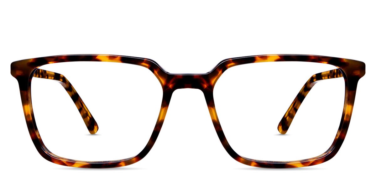 Lewis acetate frame in the delaney variant - is a rectangular frame with a thinner rim.