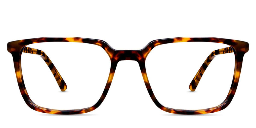 Lewis acetate frame in the delaney variant - is a rectangular frame with a thinner rim.
