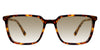 Delaney-Beige-Gradient