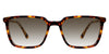 Delaney-Brown-Gradient