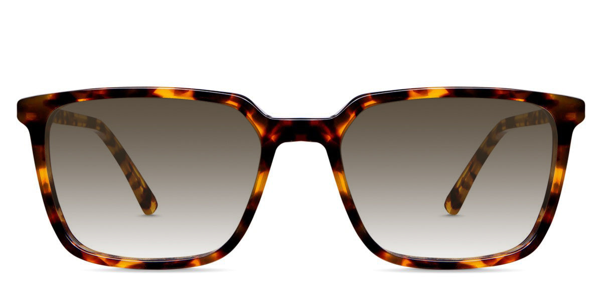 Delaney-Brown-Gradient