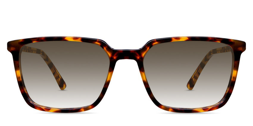 Delaney-Brown-Gradient