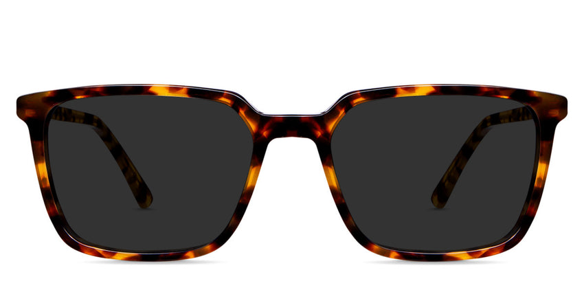 Lewis gray Polarized glasses in the delaney variant - a rectangular tortoise frame with a thinner rim and a slimmer temple arm with regular size temple tips.
