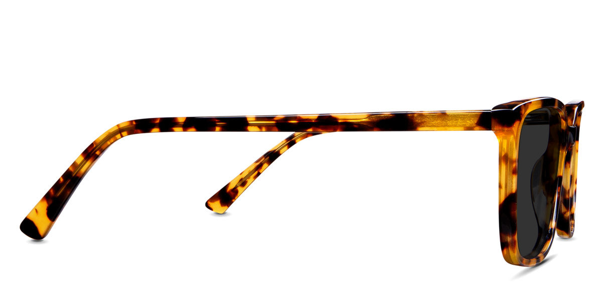 Delaney-Gray-Polarized
