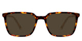 Delaney-Brown-Polarized